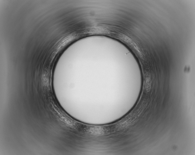 X0000094910882200712201155