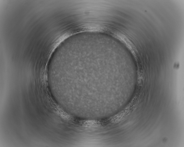 X0000094910883200712201155
