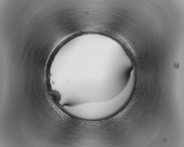 X0000094910884200712201155