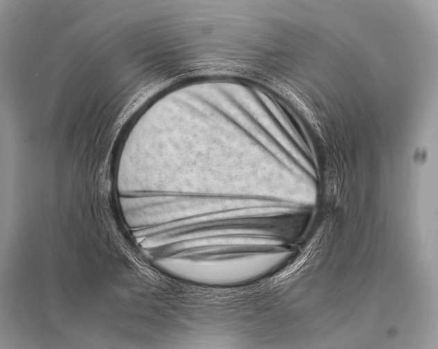 X0000094910885200712201154
