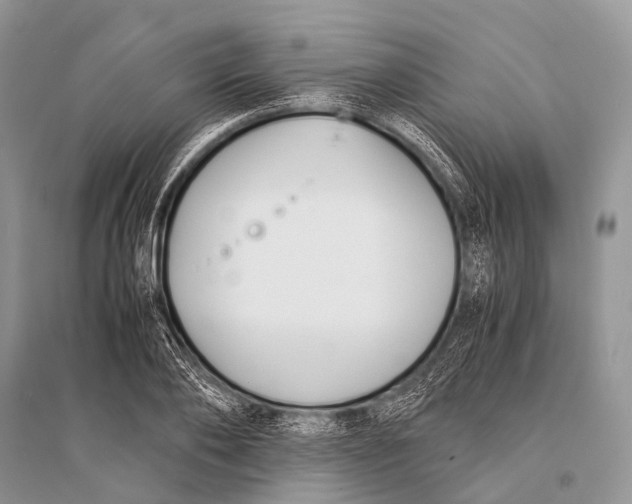 X0000094910886200712201154