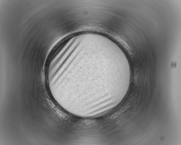 X0000094910888200712201154