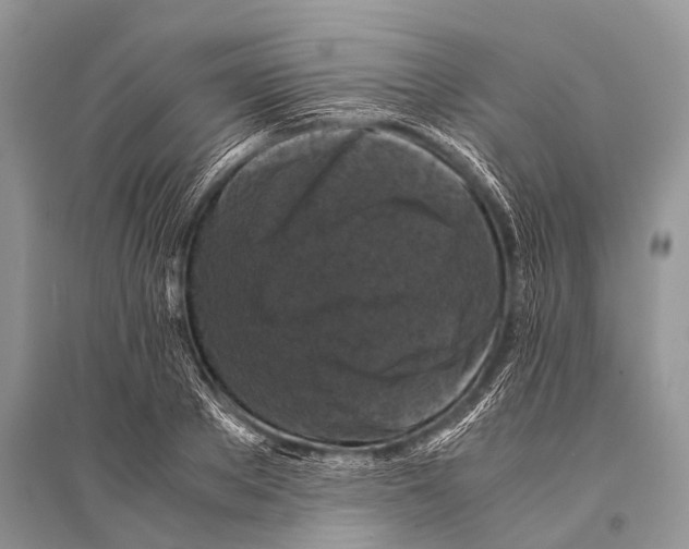 X0000094910889200712201154