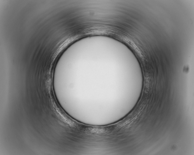 X0000094910890200712201154