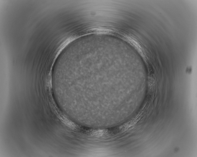 X0000094910891200712201154