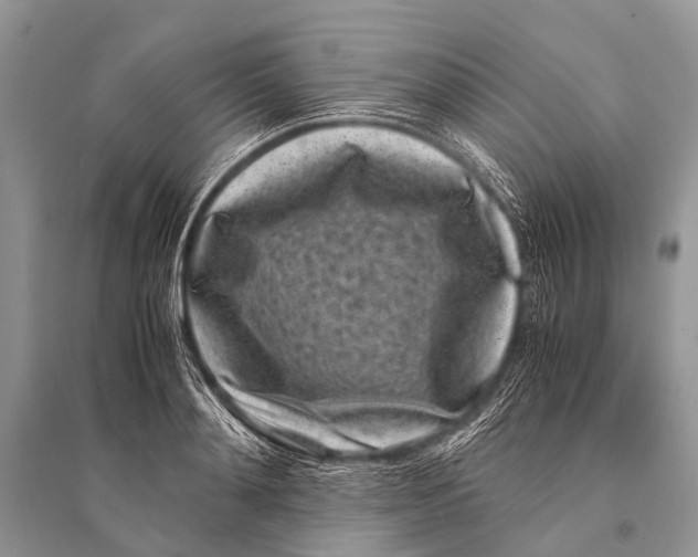 X0000094910892200712201154
