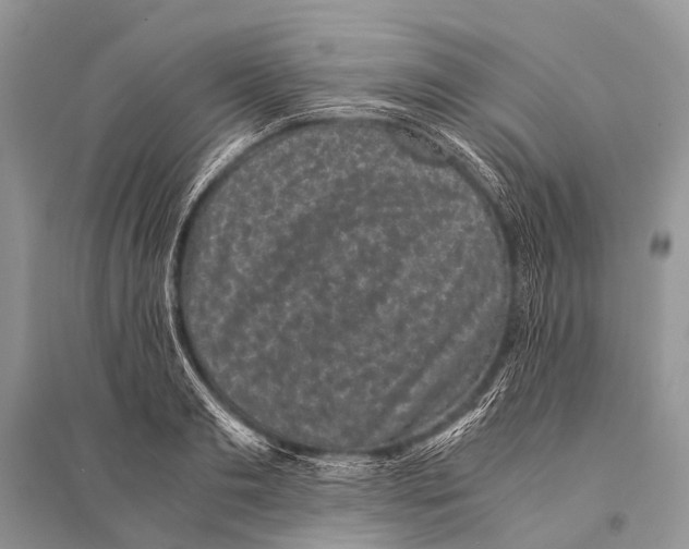 X0000094910893200712201154