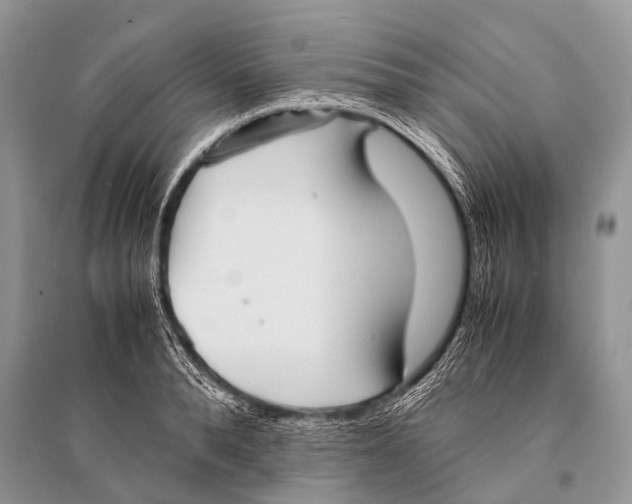 X0000094910896200712201154