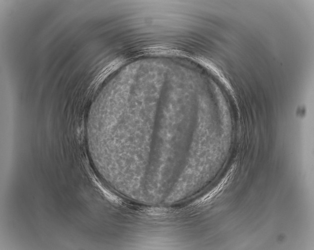 X0000094910897200712201154