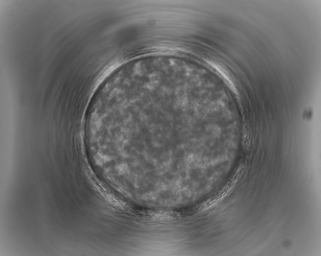 X0000094910899200712201154