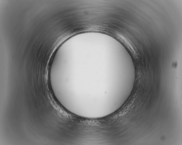 X0000094910900200712201154