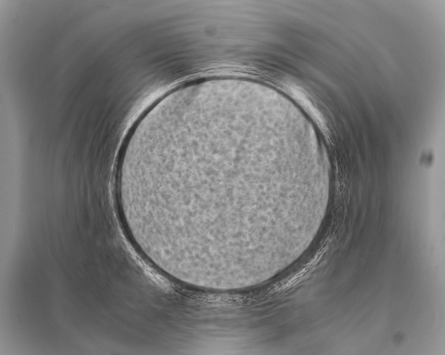 X0000094910901200712201154