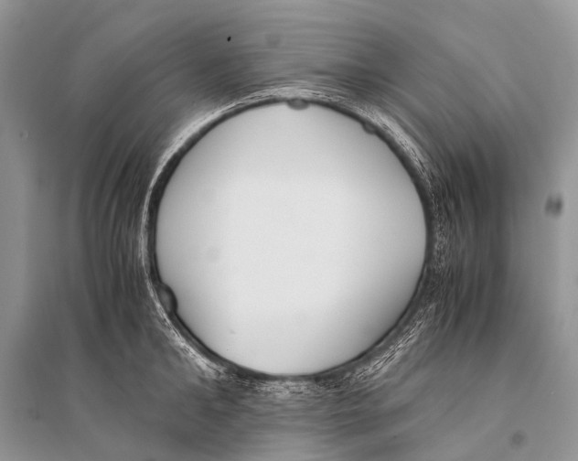 X0000094910902200712201154