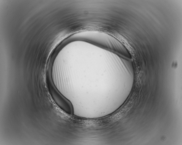 X0000094910904200712201154