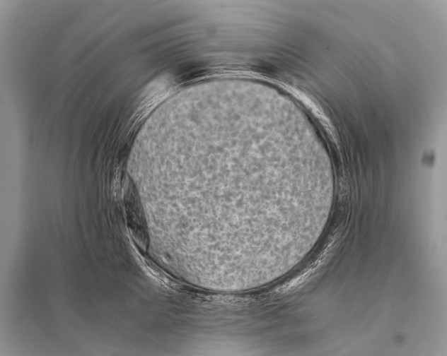 X0000094910905200712201154