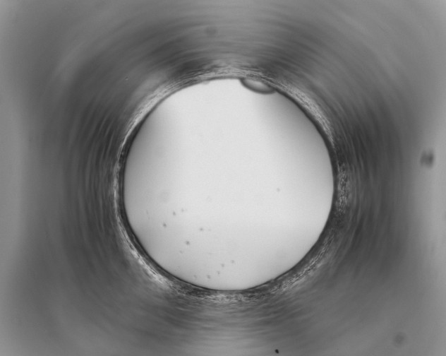 X0000094910906200712201154