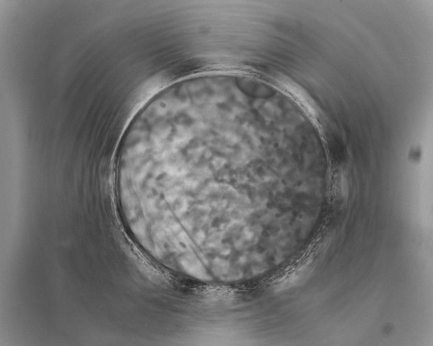 X0000094910907200712201154