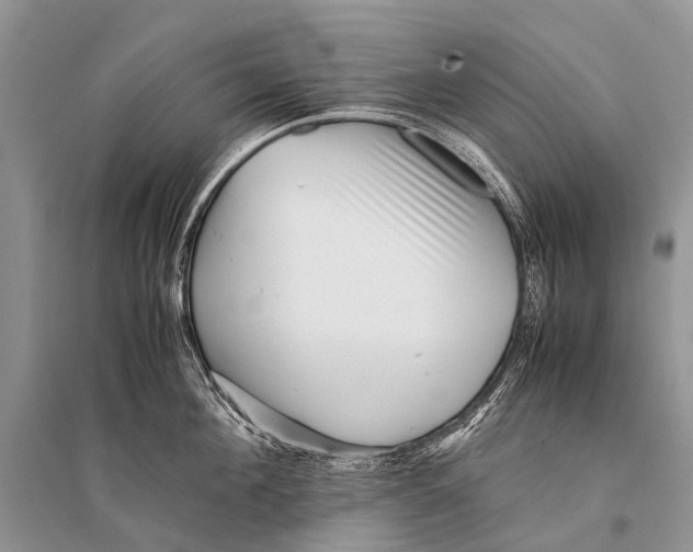 X0000094910908200712201154