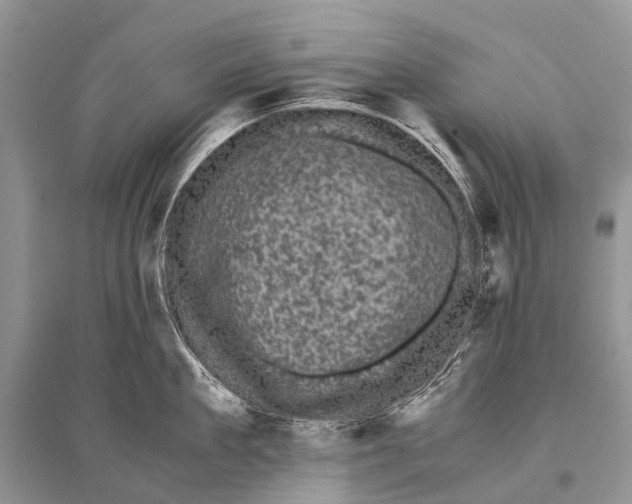 X0000094910909200712201154