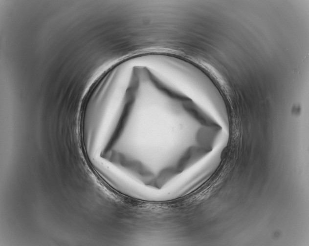 X0000094910910200712201154