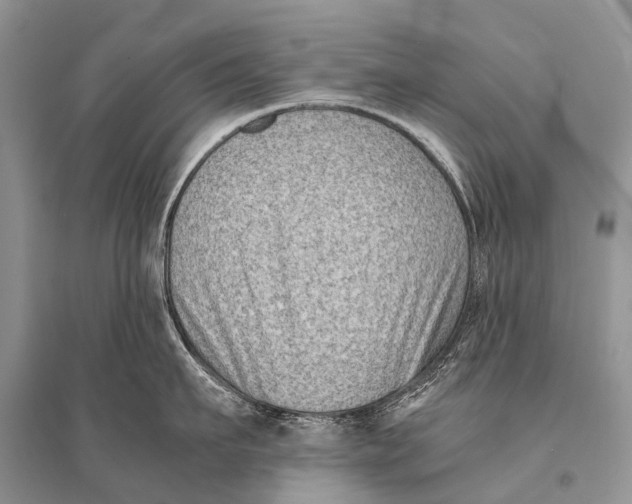 X0000094910911200712201154