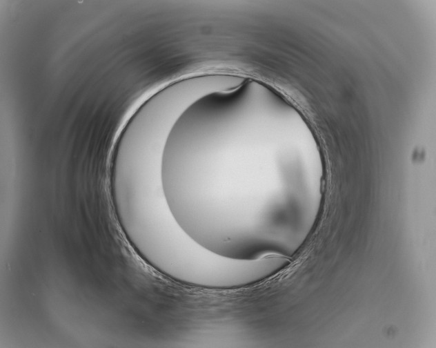 X0000094910912200712201154
