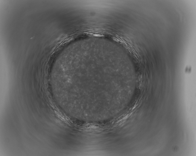 X0000094910913200712201153