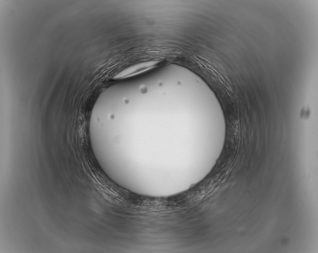 X0000094910914200712201153