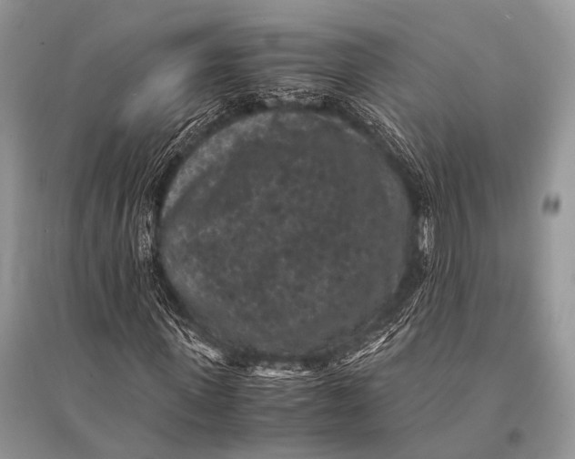 X0000094910915200712201153