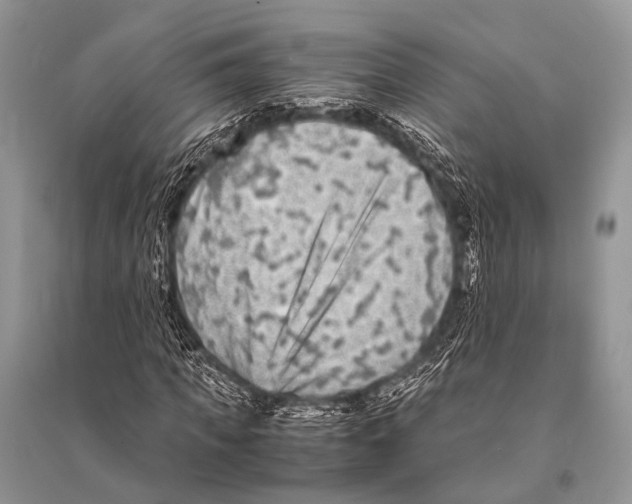 X0000094910917200712201153