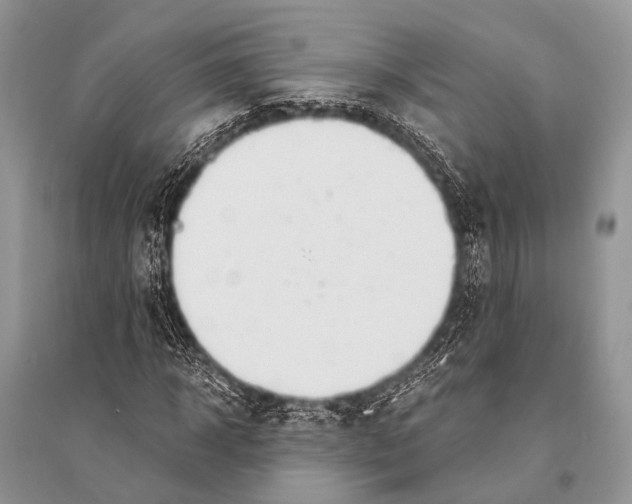 X0000094910918200712201153