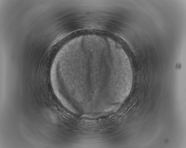 X0000094910919200712201153
