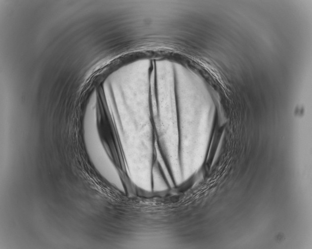 X0000094910920200712201153