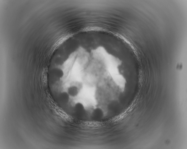 X0000094910921200712201153