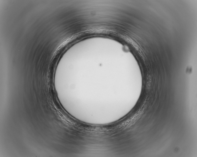 X0000094910922200712201153
