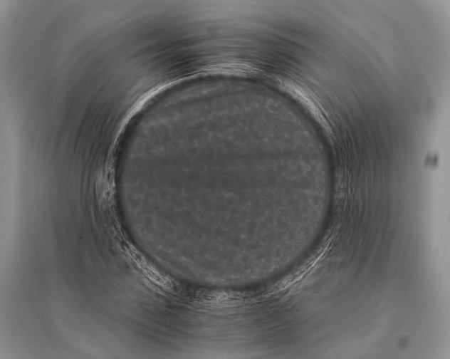 X0000094910923200712201153