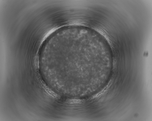 X0000094910925200712201153