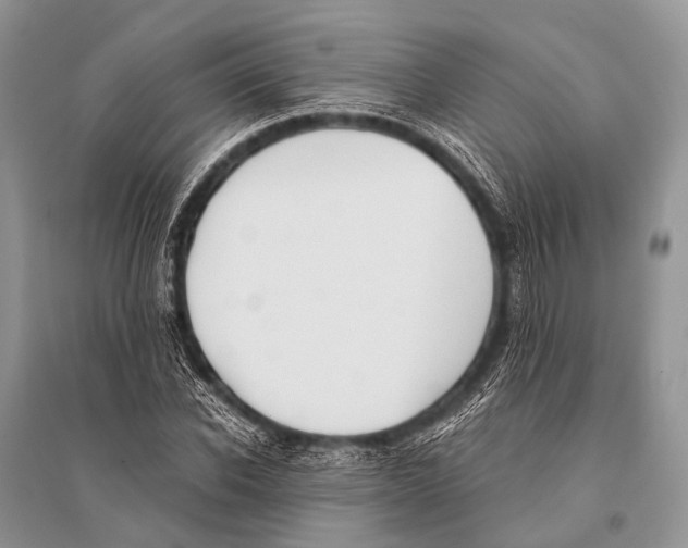 X0000094910926200712201154