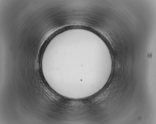 X0000094910927200712201154