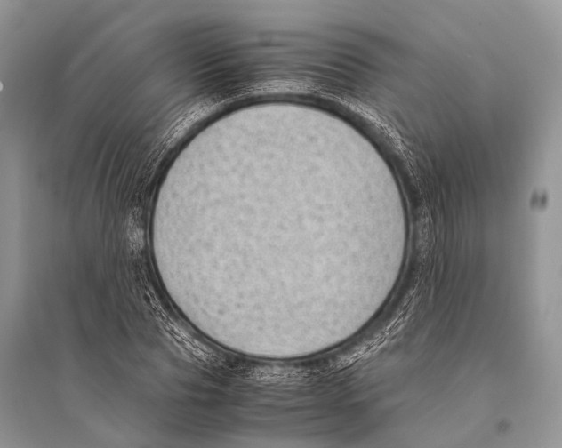 X0000094910929200712201154
