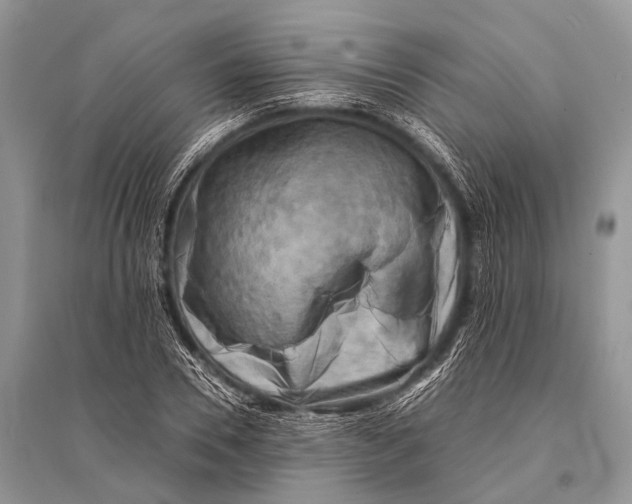 X0000094910930200712201154
