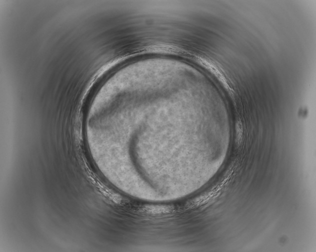 X0000094910931200712201154