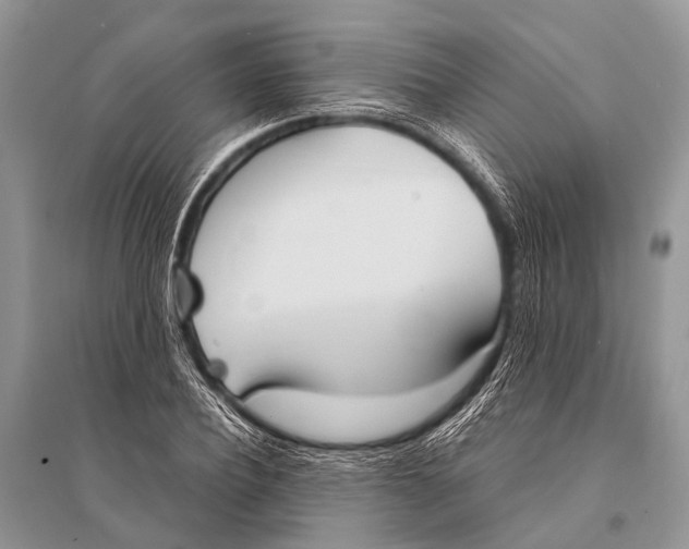 X0000094910932200712201154