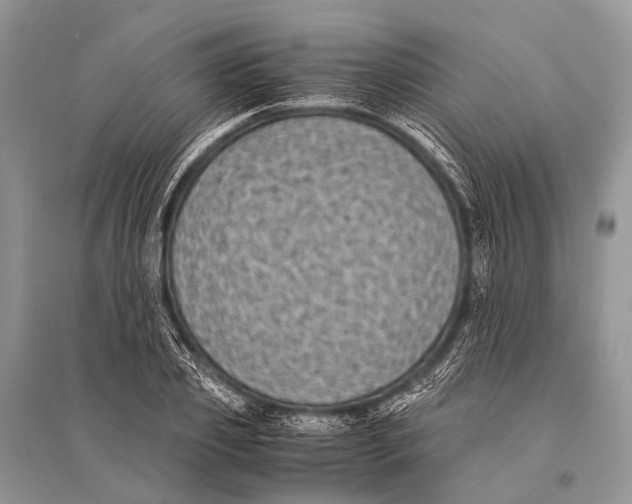 X0000094910933200712201154