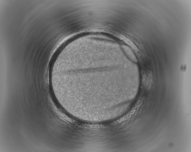 X0000094910934200712201154