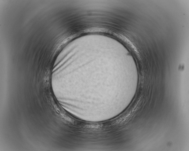 X0000094910937200712201154