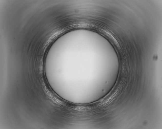 X0000094910938200712201154