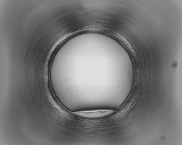X0000094910939200712201154
