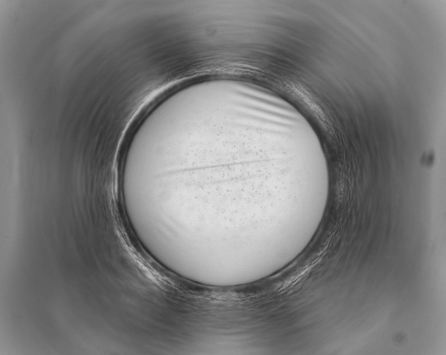 X0000094910940200712201154