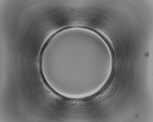 X0000094910941200712201154